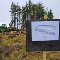Biodiversitet på Fur: Hvorfor fældes der sitkagran på Færker Odde?