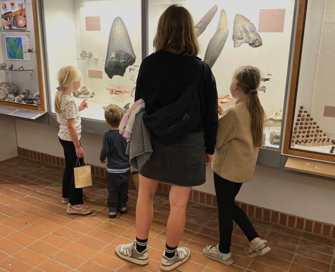 Sommer på Fur Museum: Gå på fossiljagt, mød geologerne og oplev fortiden helt tæt på - Uge 27-32
