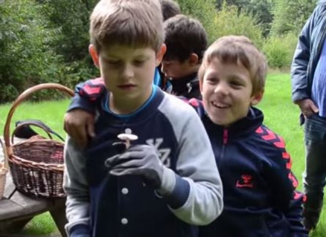 Fur Friskole på Svampetur Se Video