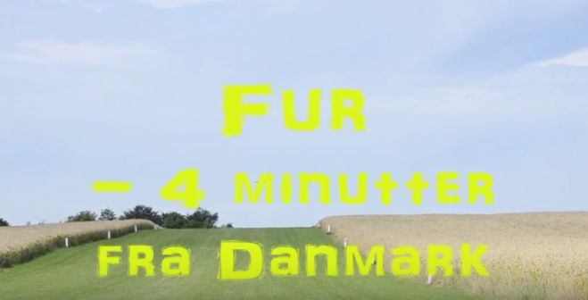 Fur – 4 minutter fra Danmark - se video