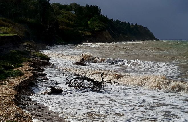 Våd og blæsende fossilweekend ved Knudeklint