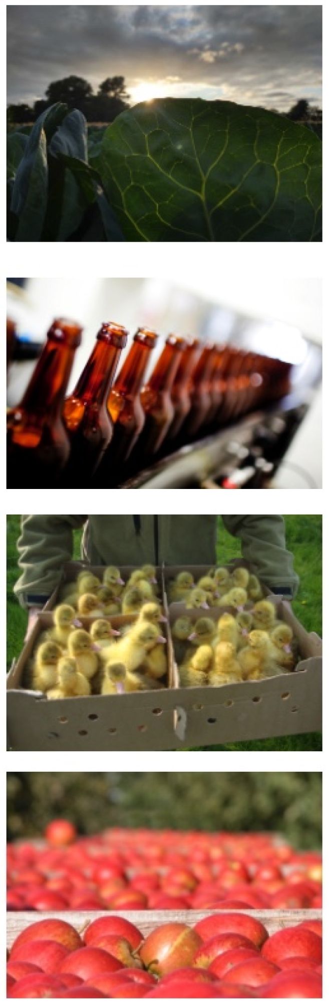 Webinar: Sådan laver du markedsføring der virker For fødevareproducenter og spisesteder på småøerne -  Torsdag d. 27. marts kl. 19 – tilmelding er ikke nødvendig