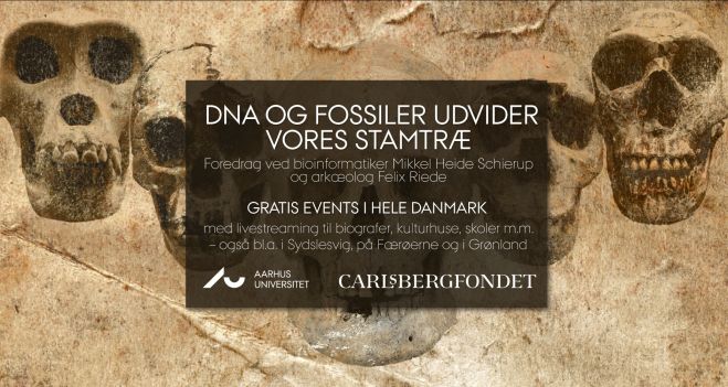 DNA og fossiler udvider vores stamtræ – livestream foredrag på Fur Museum