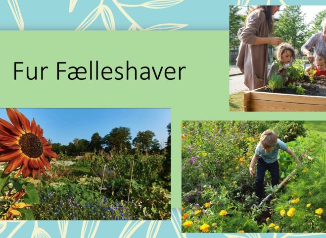 Infomøde om Fur Fælleshaver  - Torsdag den 2. oktober 2025 kl. 19, Fur Væksthus 